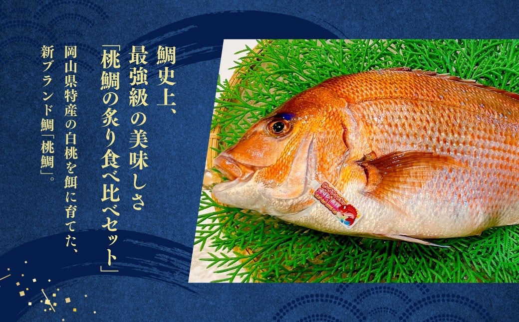 岡山ブランド魚 桃鯛の炙りセット