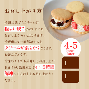 バターサンド 4種×3個 詰め合わせセット バターサンド 洋菓子 バタークリーム 富山県 氷見市