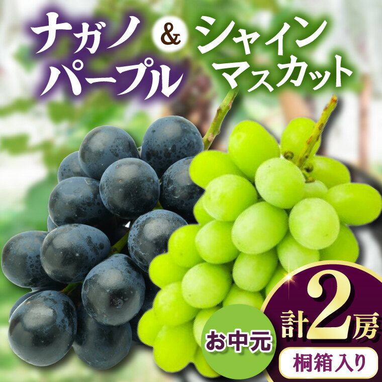 【ふるさと納税】お中元桐箱入りナガノパープル1房・シャインマスカット1房　県内共通返礼品:かすみがうら市産【配送不可地域：離島・沖縄県】 (BR171)
