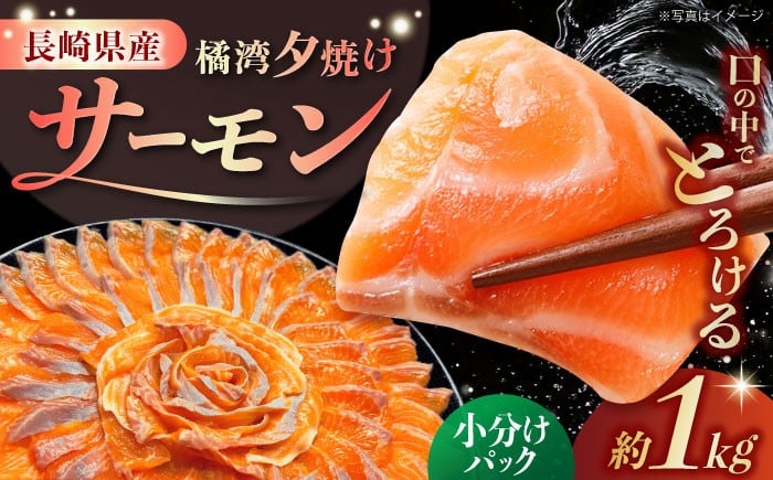 
            長崎県雲仙産 橘湾夕焼けサーモン 約1kg 長崎県/株式会社天洋丸 小分け 養殖 サーモン 鮭 国産 [42ALAC002]
          