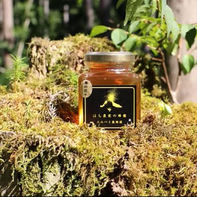 ふるさと納税 大仙市 【秋田県大仙市産】国産純粋はちみつ 『春の花々』130g×1