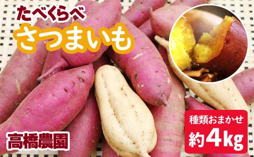 
            岩手県産 極楽野 さつまいも 品種 サイズ おまかせ 食べ比べ 約 4kg 【高橋農園】 サツマイモ さつま芋 薩摩芋 芋 いも イモ 野菜 やさい 国産 EM栽培 紅はるか 安納芋 ハロウィンスイート ふくむらさき なると金時 からゆたか ひめあやか くりかぐや 等 品種おまかせ おすすめ
          