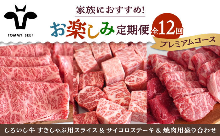 
            【牧場直送】【12回定期便】しろいし牛 家族向け お楽しみ 定期便（プレミアムコース）【佐賀セントラル牧場】佐賀県産 牛肉 お肉 肉 ハンバーグ 切り落とし 炒め物 贅沢 九州 佐賀県 白石町 [IAH214]
          