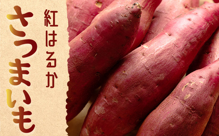 さつまいも(紅はるか) Lサイズ 2kg【さつまいも 香南市産さつまいも おすすめさつまいも 甘いさつまいも 人気さつまいも さつまいも 期間限定さつまいも】 at-0061
