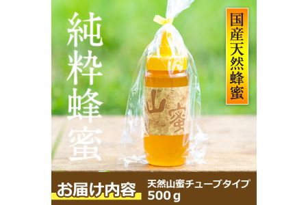 s072 国産天然山蜜チューブタイプ(500g)鹿児島県産の純粋はちみつ！さつま町の野山に咲く花からとれた蜂蜜をお届け！【下市養蜂場】