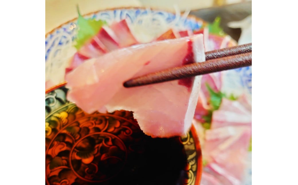 長崎近海 活き〆天然寒ぶり8kg台 (8.2kg〜8.8kg) 丸ごと1本！！