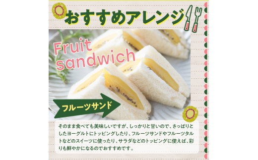 【先行受付】【2026年12月上旬～発送 】レッドキウイ 1.8kg / 稀少 甘い 呉 広島 フルーツ 美容 健康 キウイ 呉市 広島県 ku149-008-26