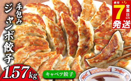 手包み ジャンボ キャベツ 餃子 45個 冷凍 【 餃子 】