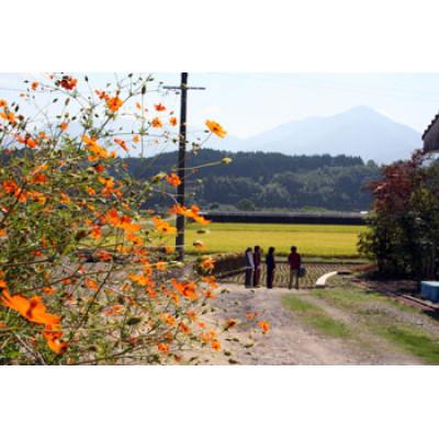 ふるさと納税 水上村 【球磨焼酎】水神の杜〈みずかみのもり〉 |  | 01