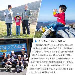 「四国カルスト天然水ぞっこん」ガロンボトル12L×24本、サーバーセット（毎月2本1年間の定期便）