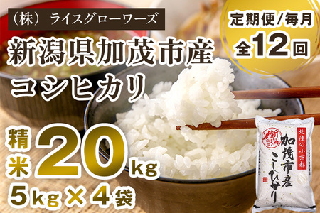 【令和8年産新米先行予約】【定期便12ヶ月毎月お届け】新潟県加茂市産コシヒカリ 精米20kg（5kg×4）《10月上旬～順次出荷》 白米 （株）ライスグローワーズ