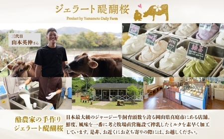 【ジェラート醍醐桜】恋するジャージーPremium 2種 （ゴールデンミルク＆緑茶） 計12個セット / 岡山 真庭 醍醐桜 極上スイーツ 濃厚 プレゼント 贈答 デザート ギフト ジャージー牛 ミル