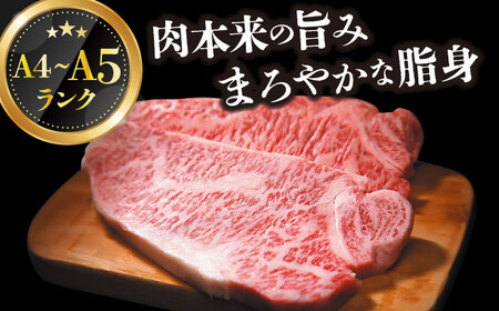 【A4～A5】長崎和牛サーロインステーキ　250g（250g×1枚）【株式会社 MEAT PLUS】[DBS013]