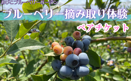 ブルーベリー摘み取り体験　ペアチケット