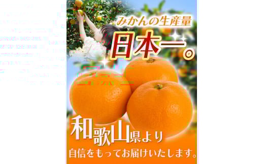 【2024年12月発送予約分】＼光センサー選別／ 【農家直送】【家庭用】こだわりの有田みかん 約2kg＋250g(傷み補償分)  先行予約 有機質肥料100% サイズ混合 【12月発送】みかん ミカン