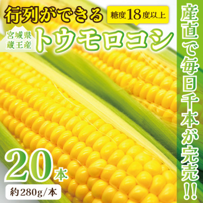 
                  ＜蔵王の産直で毎日1000本完売＞生でも甘い♪行列ができるトウモロコシ『夢みらい』20本【1500620】
                