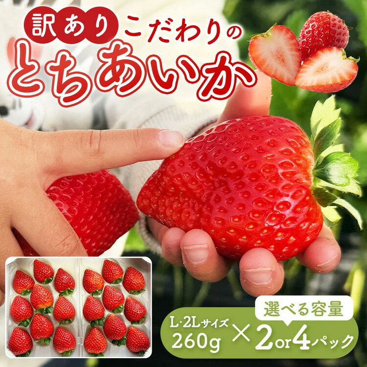 【ふるさと納税】【選べる内容量】「訳あり」とちあいか 260g 1パック9粒〜11粒入り（Lまたは2Lサイズ）2パック 4パック ｜ 訳あり とちあいか いちご 苺 栃木県 果物 フルーツ ※北海道・沖縄・離島への配送不可 ※2026年1月中旬～3月中旬頃に順次発送予定