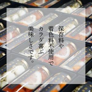 道後ピクルス旬彩セット【DPK001】