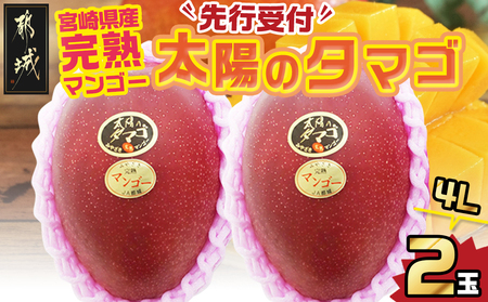 【先行受付!】宮崎県産完熟マンゴー 太陽のタマゴ【4L×2玉】化粧箱入り≪2026年5月中旬以降順次お届け≫_41-0101_(都城市) 宮崎県産 太陽のタマゴ 化粧箱入 4L 2玉 1箱 15度以上
