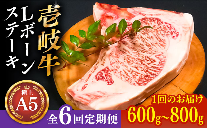 【全6回定期便】極上 壱岐牛 A5ランク Lボーンステーキ 約600~800g（雌）30日間熟成《壱岐市》【KRAZY MEAT】 [JER019] ステーキ ヒレ 赤身 Lボーン 牛 骨つき肉 サーロイン 402000 402000円