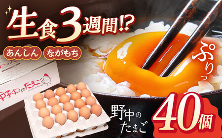 産みたて新鮮たまご 野中のたまご 40個[OAC001] 