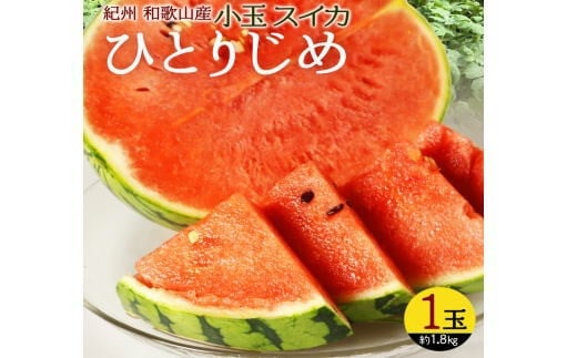 
            紀州和歌山産 小玉スイカ「ひとりじめ」 1玉【2026年6月上旬頃～2026年7月上旬頃に順次発送】【UT85】
          