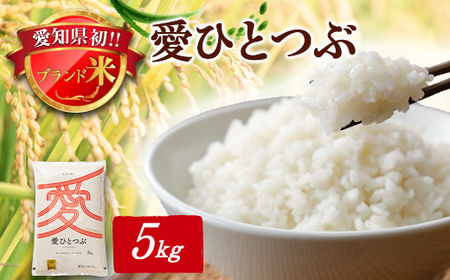 令和6年産 愛知県産 ブランド米 愛ひとつぶ 5kg　パールライス 安城工場精米【1469577】