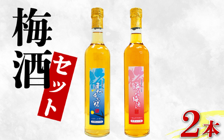 【 梅酒セット 】梅酒 飲み比べ 500ml 計 2本 