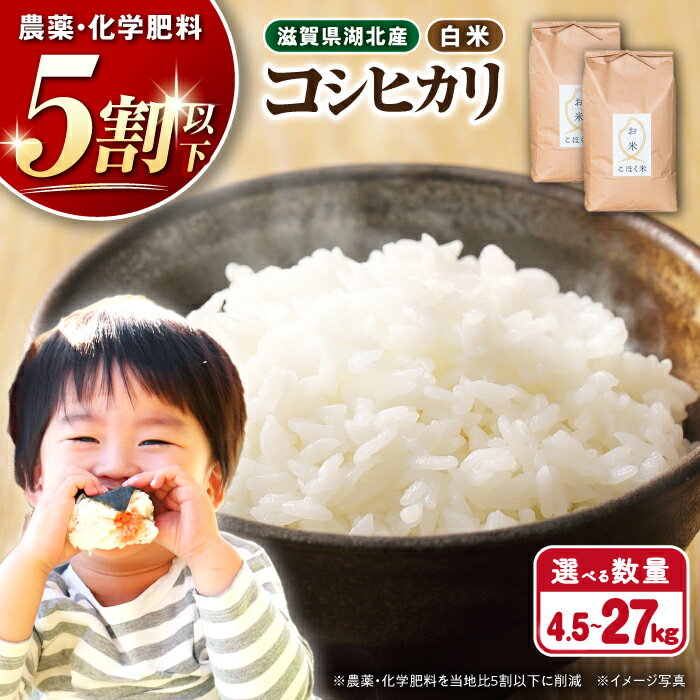 【ふるさと納税】＜選べる内容量＞【令和7年産新米】 滋賀県産 湖北のコシヒカリ 4.5kg〜27kg 白米【減農薬米】長浜市/エース物産[AQAK002] こしひかり 米 白米 近江米 新米 精米 人気 おすすめ