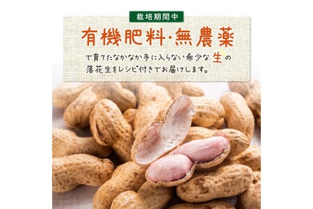 【数量限定50】農家直送　生落花生(おおまさり)　300g×4袋　レシピ付き