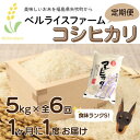 【ふるさと納税】【発送月固定定期便】11月から毎月届く!農家直送　食味ランクS・大粒コシヒカリ精米5kg全6回【4055777】
