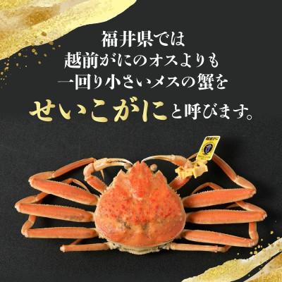 ふるさと納税 美浜町 はるか丸厳選!≪浜茹で≫ 越前 せいこがに 大サイズ 約200g × 2杯【冷凍】かにスプーン付き |  | 01
