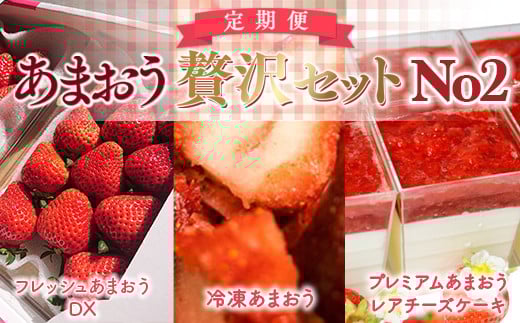 【期間限定発送】 いちご 定期便 贅沢セット No2 フレッシュあまおう & 冷凍あまおう & レアチーズケーキ 詰め合わせ [THE FARM_strawberry 福岡県 宇美町 um40azo780009] イチゴ 苺 フルーツ 果実 甘い 小分け 冷凍 ケーキ チーズケーキ