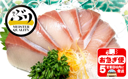 AQ-4702-202605／【鹿児島産ぶり】冷蔵・ぶりフィレ（半身1枚）