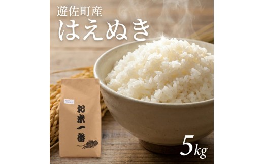 遊佐町産はえぬき5kg（令和8年産米）3月上旬