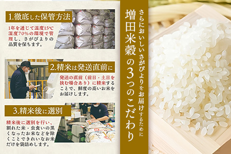 【令和7年産】さがびより 精米 10kg【特A受賞米 米 5kg×2袋 お米 コメ こめ 国産 美味しい ブランド米 人気 ランキング 増田米穀】(H015224)