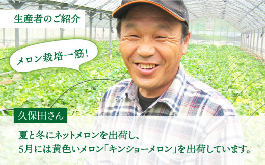 【12月上旬頃お届け】＜先行予約＞【ていねいに育てた高級果物】平戸市産 ネットメロン「 ソナタ 」[KAB097]/ 長崎 平戸 果物 フルーツ メロン アールスメロン ソナタ 糖度14度 贈物 贈答