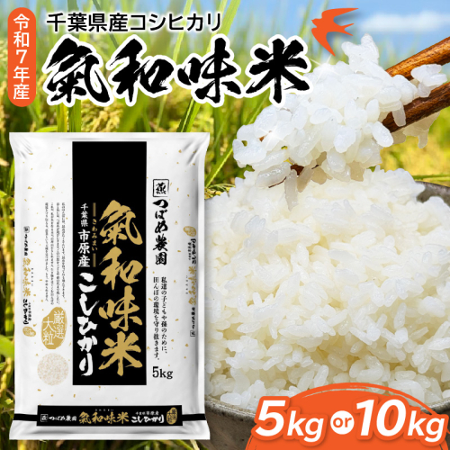 【選べる内容量】令和7年産「気和味米」千葉県産コシヒカリ 白米（5kg / 10kg）