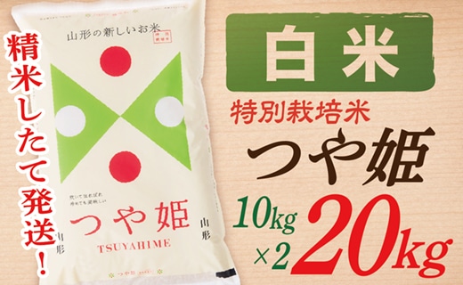 【令和6年産予約】【白米】山形県産つや姫20kg(10kg×2袋)