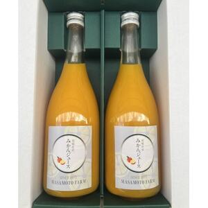 【正本農園】温州みかんジュース 720ml×2本【C96-7】【1712335】