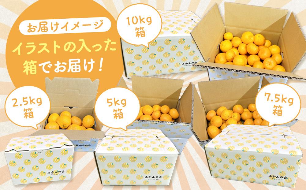みかん 山から直送 箱込 7.5kg ( 内容量約 6.8kg ) 鮮度優先ごろごろ規格 和歌山県産 産地直送 家庭用［2025年11月中旬より2026年1月中旬頃順次出荷予定］［みかんの会］
