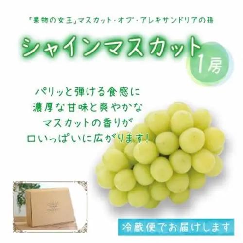 岡山　花笑み農園の『園主おすすめぶどう4種セット』家庭用　2kg　4M-2R家【9月下旬～順次発送】【配送不可地域：離島・北海道・沖縄県】【1626799】