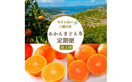 ＜発送月固定定期便＞みかん定期便　愛媛みかん5kg×まどんな2.5kg ＜G25-253＞全2回【4071214】