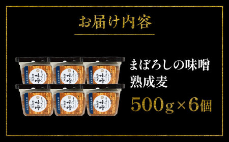 まぼろしの味噌 熟成麦 500g×6個セット【株式会社山内本店】[BHAE020]