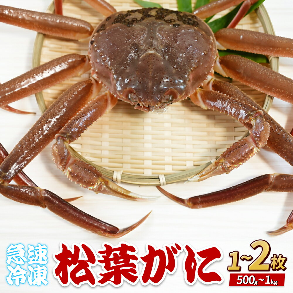 【ふるさと納税】先行予約 年内発送 松葉がに（冷凍）約500g 1～2枚｜鳥取 岩美 かに 松葉ガニ 年末年始 冷凍 生 プロトン凍結 急速冷凍 在庫限り
