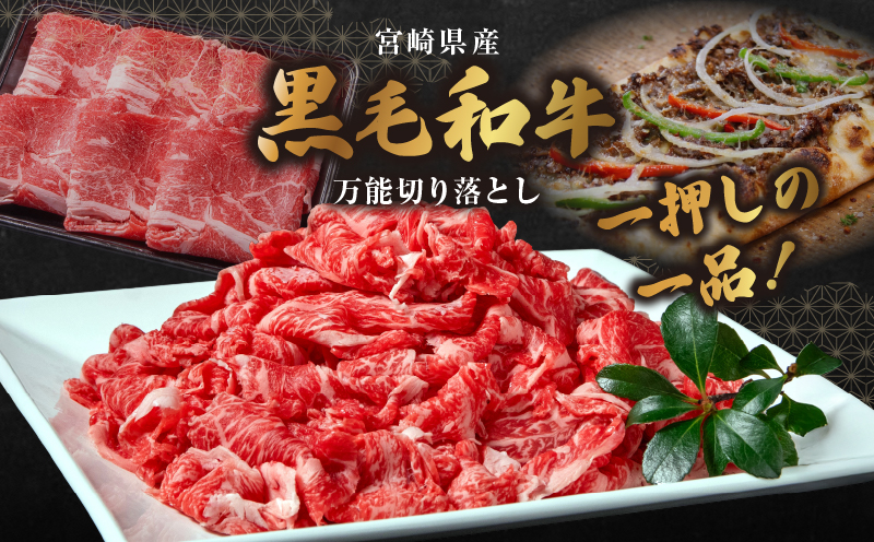 和牛おまかせ万能切落し700g 黒毛和牛 和牛 国産牛 牛肉 切り落とし 切落し 切り落し 霜降り 霜降り肉 赤身 混在 おまかせ肉 万能肉 家庭用 大容量 700g 小分け 350g 冷凍 有田牧場