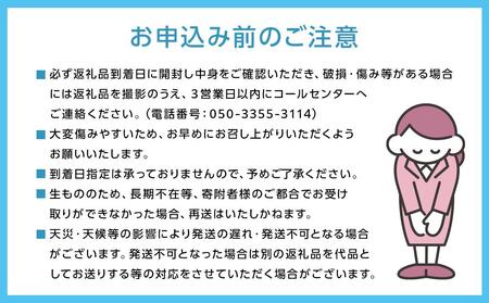 五果苑 越冬ぶどう 紫苑（しえん）2房（1房約800g） [No.5220-0358]