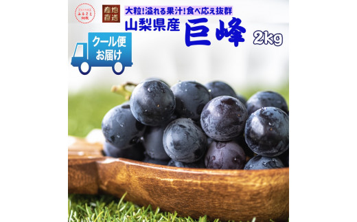 【2026年発送★先行予約】クール便発送　巨峰 2kg (3～4房) 179-010-26y