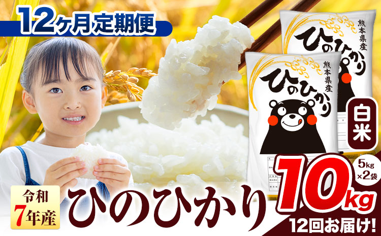 令和7年産 無洗米 【12ヶ月定期便】 ひのひかり 10kg《お申込み翌月から出荷》 熊本県産 無洗米 精米 氷川町 ひの 送料無料 ヒノヒカリ コメ 便利 ブランド米 お米 おこめ 熊本