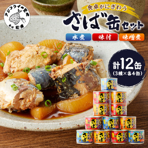 さば缶セット(3種×各4缶)( さば サバ 鯖 九州産 缶詰 サバ缶 さば缶 鯖缶 水煮 味噌煮 非常食 ご飯のお供 保存食 保存食 非常食 防災 備蓄 長期保存 )【B2-107】